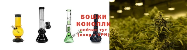 мет Осинники