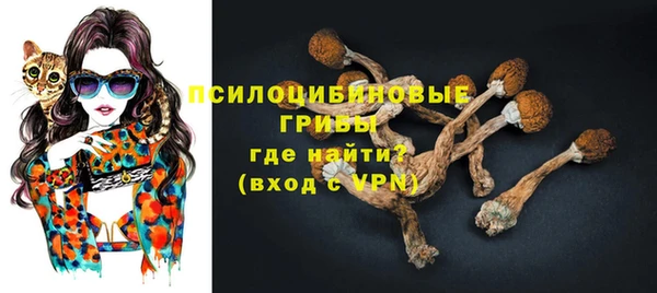 мет Осинники
