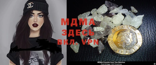 шишки Белая Холуница