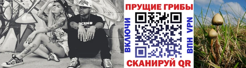 Галлюциногенные грибы GOLDEN TEACHER купить цена Сысерть